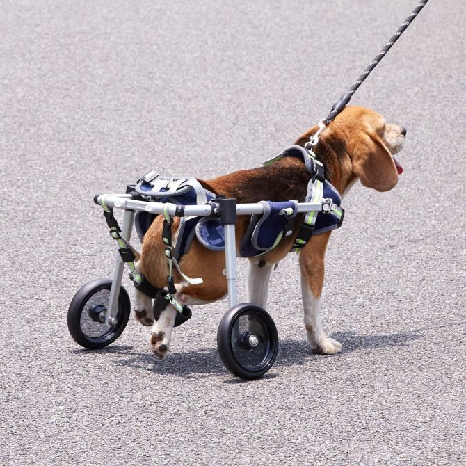VEVOR 2 Wheels Dog Wheelchair for Back Legs, Pet Wheelchair Lightweight & Adjustable Assisting in Healing, Dog Cart/Wheelchair for Injured, Disabled, Paralysis, Hind Limb Weak Pet(XS) - Image 8