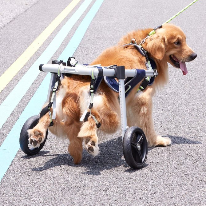 VEVOR 2 Wheels Dog Wheelchair for Back Legs, Pet Wheelchair Lightweight & Adjustable Assisting in Healing, Dog Cart/Wheelchair for Injured, Disabled, Paralysis, Hind Limb Weak Pet(L) - Image 8