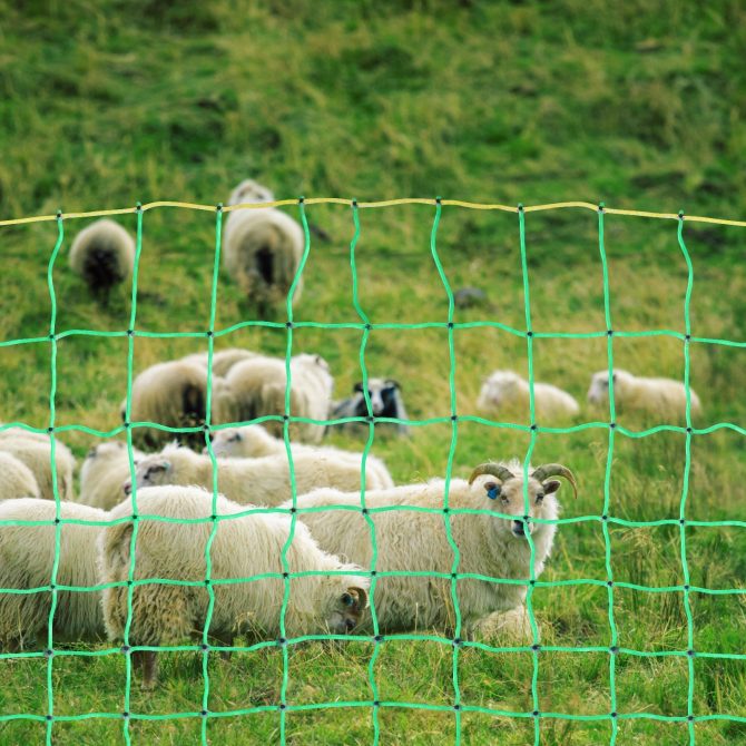 VEVOR Electric Fence Netting, 35" H x 164' L, PE Net Fencing with Posts & Double-Spiked Stakes, Utility Portable Mesh for Goats, Sheep, Lambs, Deer, Hogs, Dogs, Used in Backyards, Farms, and Ranches - Image 8