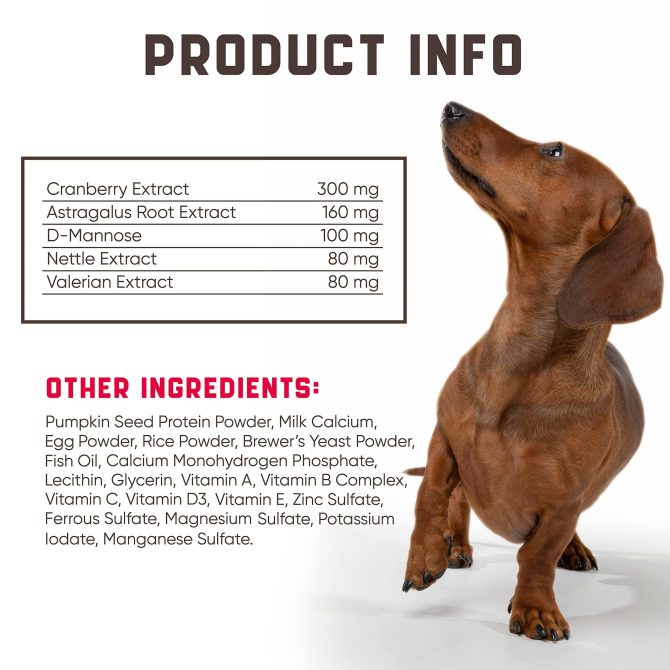 180 Cranberry Chews Dog Cranberry Supplement Natural Aid for Urinary Tract Bladder Kidney Health Immune Support for Dogs of All Ages and Breeds Duck Flavor - Image 3