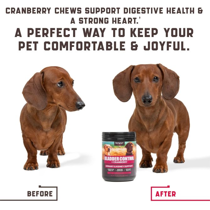 180 Cranberry Chews Dog Cranberry Supplement Natural Aid for Urinary Tract Bladder Kidney Health Immune Support for Dogs of All Ages and Breeds Duck Flavor - Image 6