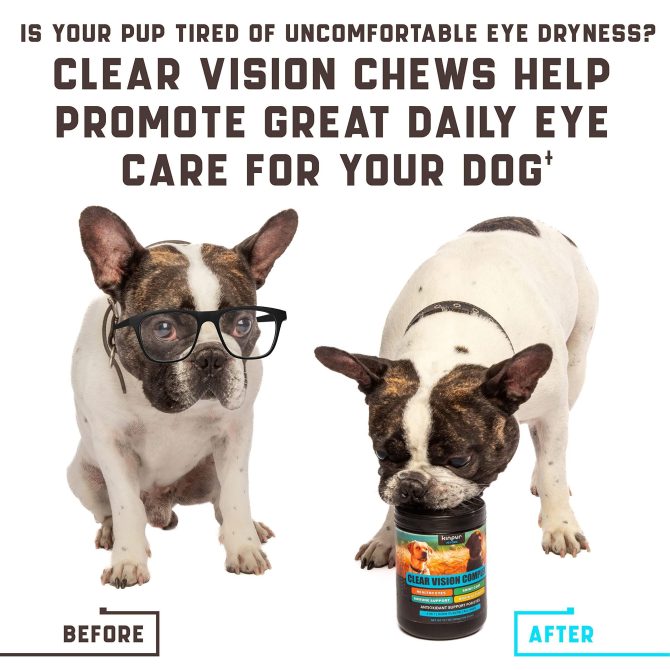 Eye Vitamins for Dogs Dog Vision Supplement for Tear Stains Dog Eye Care Immune Support Vitamin С Carrot Fish Oil Lutein 180 Soft Chews with Duck Flavor for All Breeds and Ages - Image 5