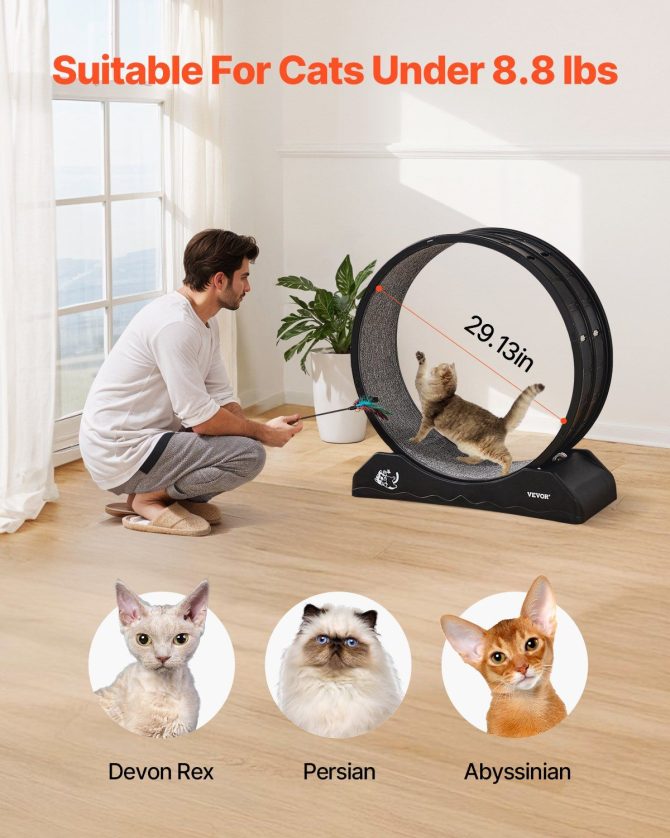 VEVOR Cat Exercise Wheel 31.5 in Large Indoor Cat Running Wheel Treadmill Black - Image 4