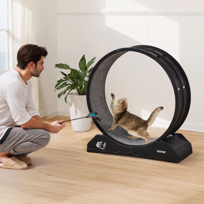 VEVOR Cat Exercise Wheel 31.5 in Large Indoor Cat Running Wheel Treadmill Black - Image 8