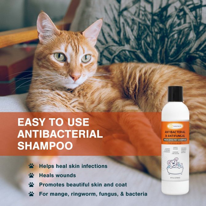Lime Sulfur Pet Shampoo - Pet Care and Veterinary Solution for Itchy and Dry Skin - Safe for Dog;  Cat;  Puppy;  Kitten;  Horse - Image 3