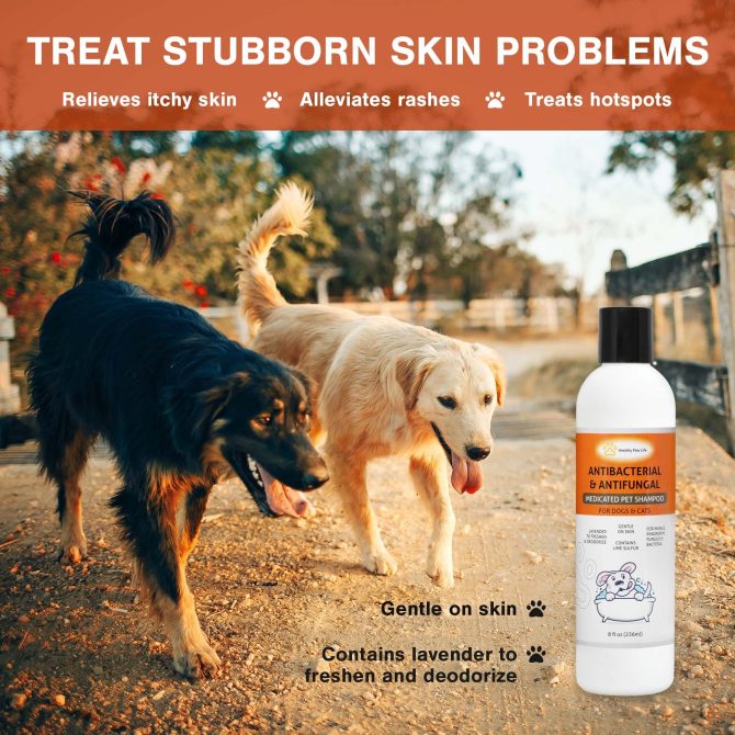 Lime Sulfur Pet Shampoo - Pet Care and Veterinary Solution for Itchy and Dry Skin - Safe for Dog;  Cat;  Puppy;  Kitten;  Horse - Image 4