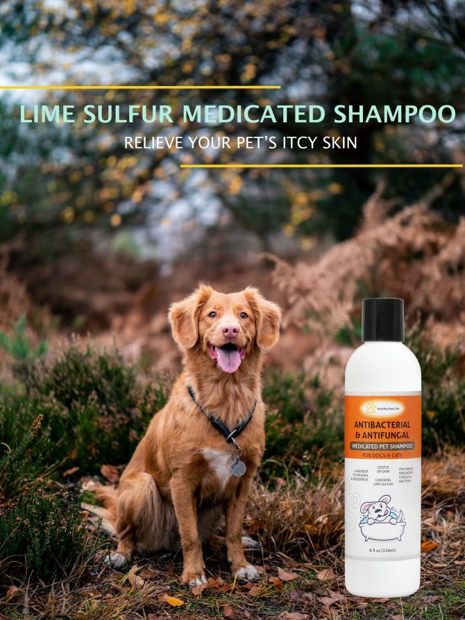 Lime Sulfur Pet Shampoo - Pet Care and Veterinary Solution for Itchy and Dry Skin - Safe for Dog;  Cat;  Puppy;  Kitten;  Horse - Image 2