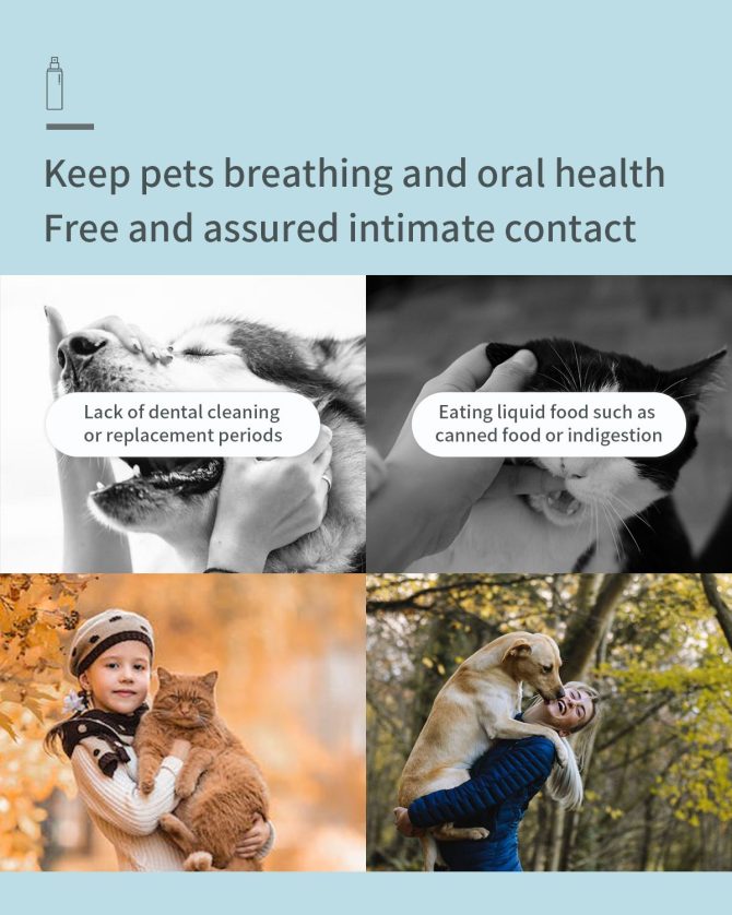Dog Breath Freshener for Dogs & Cats Teeth Cleaning Spray Dog Bad Breath Pet Oral Care Spray 4fl.oz - Image 7