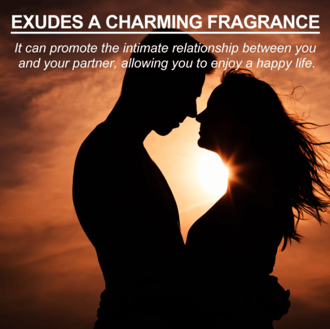 PS3644  Elegant Lady Perfume, long-lasting light fragrance, fresh and elegant, captivating women's perfume, 4-12% fragrance retention, lasting scent for 32h 100ml (3.38 oz), notes include lemon, lim - Image 12