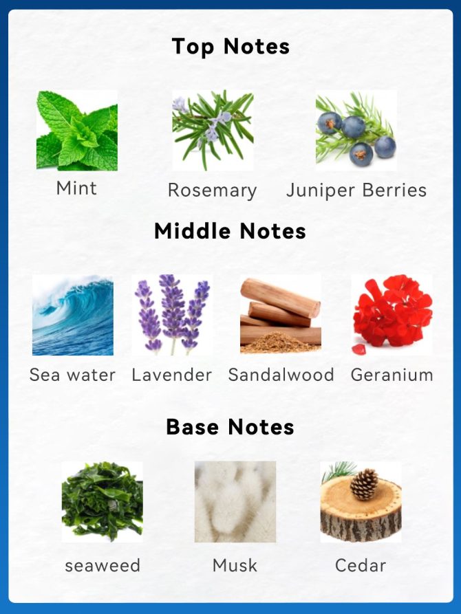 3.4fl Oz Men's Eau De Toilette Spray, Long-Lasting Perfume, Notes Of Mint, Rosemary, Sea Water Flavor, Perfect For Dating, Daily Life, Parties, Gift Giving - Image 8