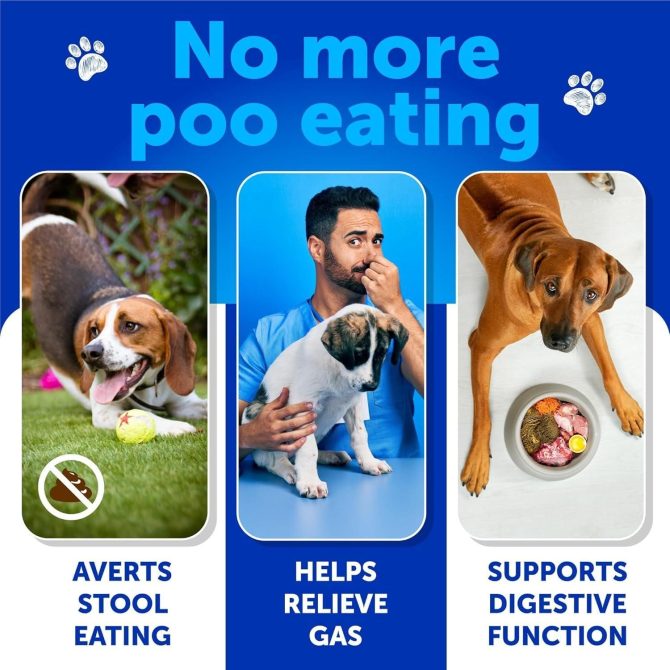 No Poo Chews for Dogs Puppy Coprophagia Stool Eating Deterrent Prevent Dog from Eating Poop Stop Eating Poop Treats with Probiotics & Enzymes Immune Digestive Gut Health Support Supplement - Image 2