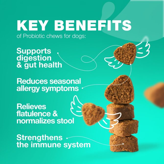 Probiotics for Dogs Support Gut Health Immunity Yeast Balance Itchy Skin Allergies Dog Probiotics and Digestive Enzymes Coprophagia Deterrent for Dogs 180 Probiotic Chews for Dogs - Image 3