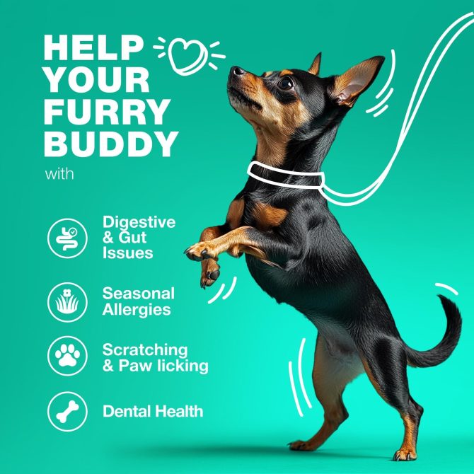 Probiotics for Dogs Support Gut Health Immunity Yeast Balance Itchy Skin Allergies Dog Probiotics and Digestive Enzymes Coprophagia Deterrent for Dogs 180 Probiotic Chews for Dogs - Image 4