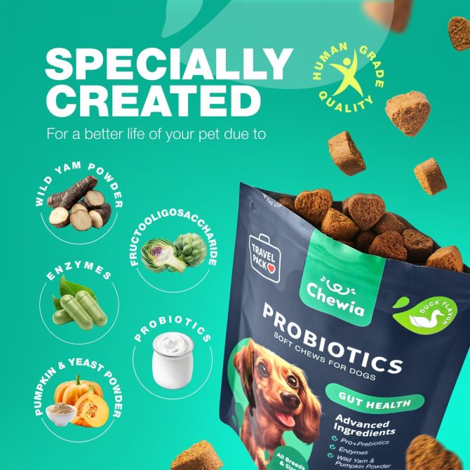 Probiotics for Dogs Support Gut Health Immunity Yeast Balance Itchy Skin Allergies Dog Probiotics and Digestive Enzymes Coprophagia Deterrent for Dogs 180 Probiotic Chews for Dogs - Image 5