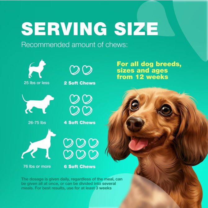 Probiotics for Dogs Support Gut Health Immunity Yeast Balance Itchy Skin Allergies Dog Probiotics and Digestive Enzymes Coprophagia Deterrent for Dogs 180 Probiotic Chews for Dogs - Image 8