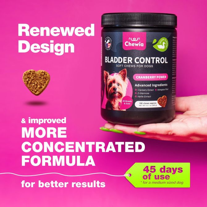 Dog UTI Treatment Dog Cranberry Supplement for Bladder Kidney Health Urinary Tract Incontinence Support Cranberry Supplement for Dog Incontinence Bladder Control Cranberry Chews - Image 2
