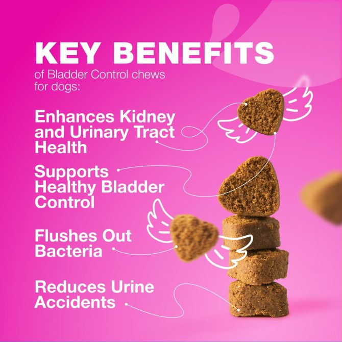 Dog UTI Treatment Dog Cranberry Supplement for Bladder Kidney Health Urinary Tract Incontinence Support Cranberry Supplement for Dog Incontinence Bladder Control Cranberry Chews - Image 3
