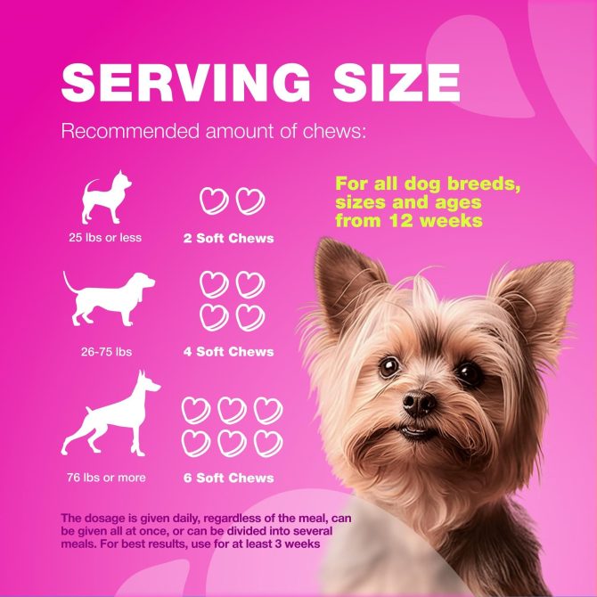 Dog UTI Treatment Dog Cranberry Supplement for Bladder Kidney Health Urinary Tract Incontinence Support Cranberry Supplement for Dog Incontinence Bladder Control Cranberry Chews - Image 8