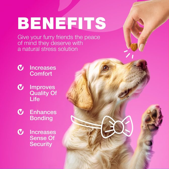 Dog UTI Treatment Dog Cranberry Supplement for Bladder Kidney Health Urinary Tract Incontinence Support Cranberry Supplement for Dog Incontinence Bladder Control Cranberry Chews - Image 9