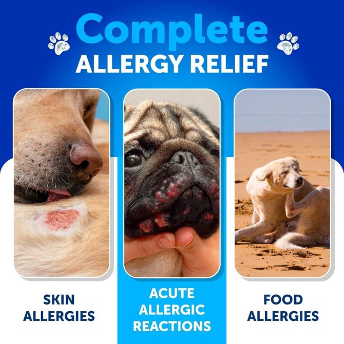 Probiotics for Dogs Support Gut Health Itchy Skin Allergies Immunity Yeast Balance Dog Probiotics and Digestive Enzymes with Prebiotics Reduce Diarrhea Gas 180 Probiotic Chews for Dogs - Image 3