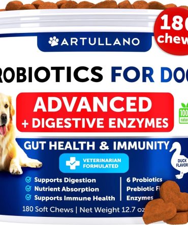 Probiotics for Dogs Support Gut Health Itchy Skin Allergies Immunity Yeast Balance Dog Probiotics and Digestive Enzymes with Prebiotics Reduce Diarrhea Gas 180 Probiotic Chews for Dogs