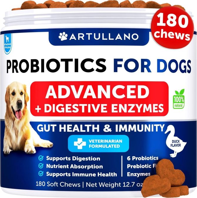 Probiotics for Dogs Support Gut Health Itchy Skin Allergies Immunity Yeast Balance Dog Probiotics and Digestive Enzymes with Prebiotics Reduce Diarrhea Gas 180 Probiotic Chews for Dogs