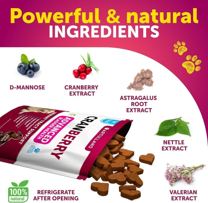 Dog UTI Treatment Cranberry Supplement Bladder Control for Dogs Urinary Tract Infection Incontinence Pill Bladder Stones UTI Medicine Treats 70 Soft Chews for Kidney Support with Fish Oil - Image 3