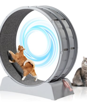 Cat Exercise Wheel, 31 inch Cat Wheels for Indoor Cats, Cat Treadmill Wheel Exerciser with Carpeted Runway, Plastic Cat Running Wheel for Cats Daily Exercise and Weight Loss, Gray