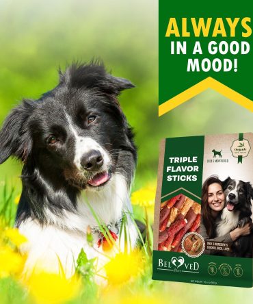 Triple Flavor Dog Rawhide Treats Duck Chicken Human Grade Meat Natural Organic Pet Dried Snacks Grain Free Long Lasting Chews for Large Small Dogs Best Sticks for Healthy Teeth