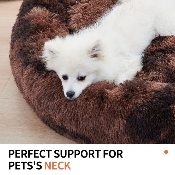 Cute Dog Bed Bear Paw Shape Pet Bed - Dog Beds & Furniture for Small and Medium Dogs, Cat Beds for Indoor Cats - Image 23