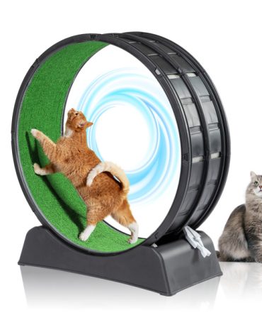 Cat Exercise Wheel, 31 inch Cat Wheels for Indoor Cats, Cat Treadmill Wheel Exerciser with Carpeted Runway, Plastic Cat Running Wheel for Cats Daily Exercise and Weight Loss, Black