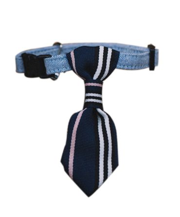 Adjustable Deep Blue Stripe Dog Cat Neck Tie Decorative Gentleman Dog Collar 6-11 Inches