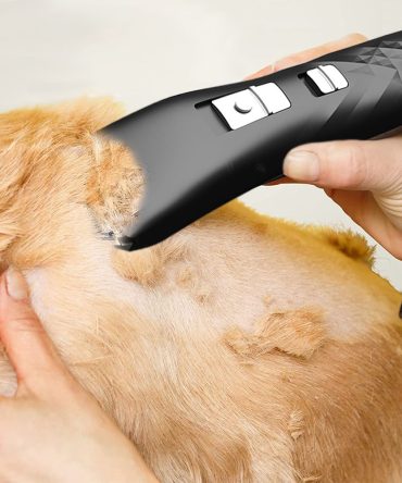 Black Pet Shaver For Dog And Cat; Pet Grooming Supplies