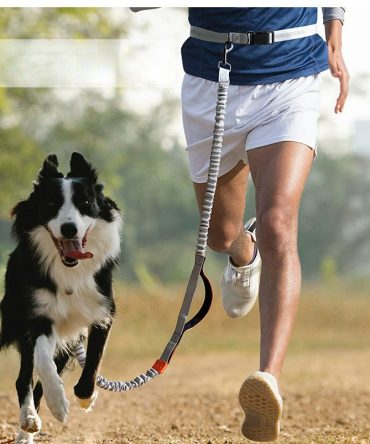 Hands Free Dog Leash for Medium and Large Dogs - Durable Dual Handle Waist Leash with Reflective Bungee for Running; Walking; Training; Hiking
