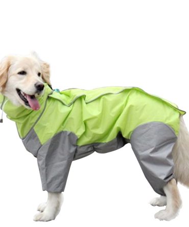 A Raincoat for all small and large dogs; Pet raincoat Medium large dog Golden hair Samo Alaska waterproof four foot raincoat Dog hooded raincoat