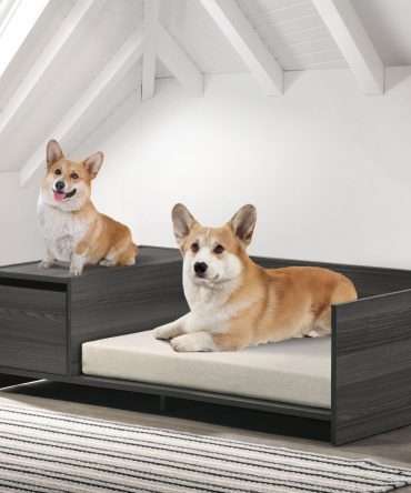 Esme Ash Gray 47" Wide Modern Comfy Pet Bed with Cushion and Side Storage Compartment