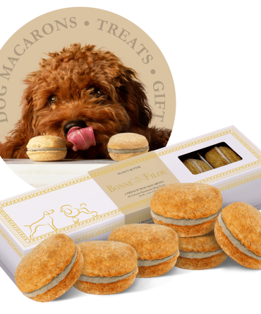 Dog Macarons - Count of 6 (Dog Treats | Dog Gifts)