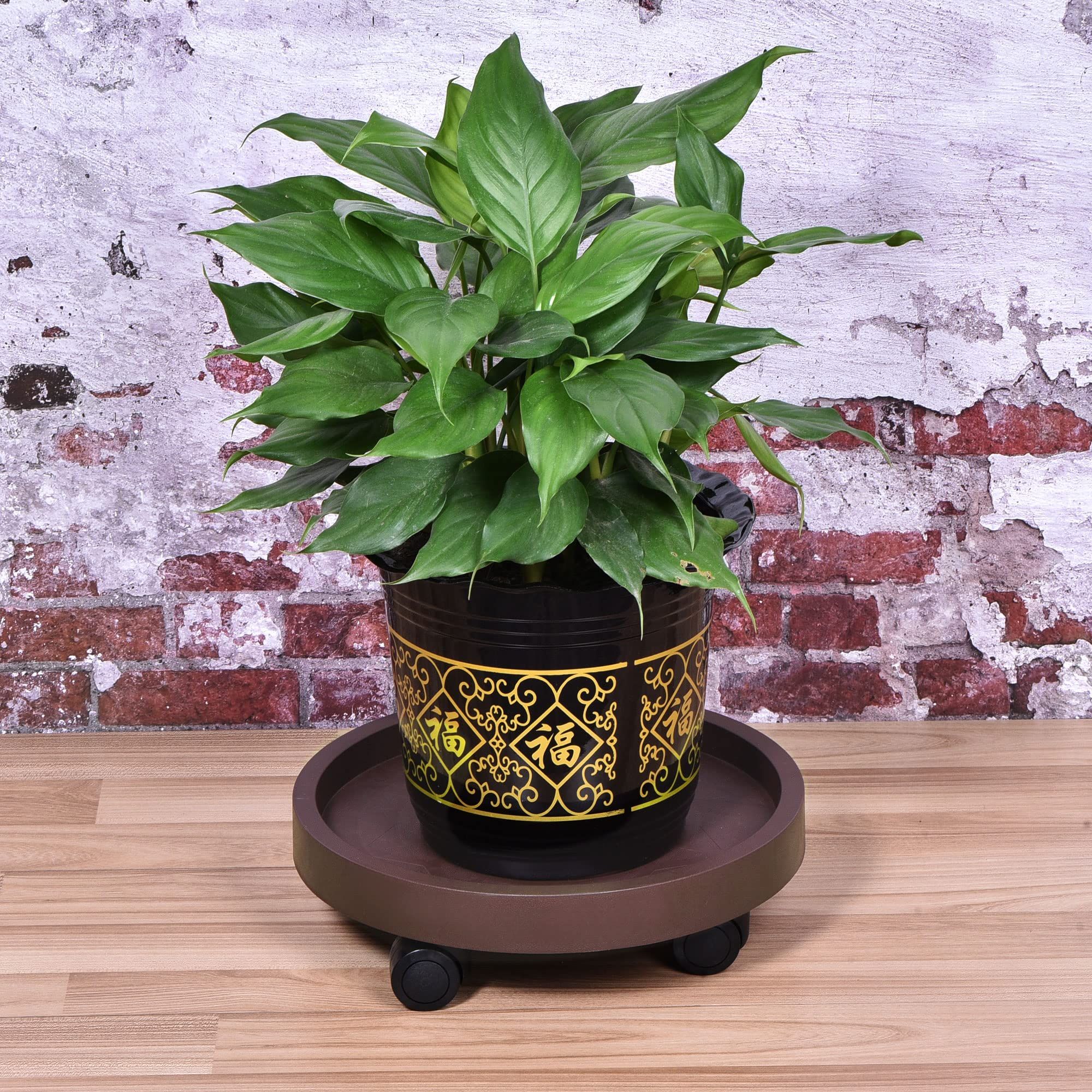 8 Pack Plant Caddy with Wheels, Heavy Duty 12.2 Inch Rolling Plant Stand for Moving Potted Flowers Indoor Outdoor, Brown - Image 9