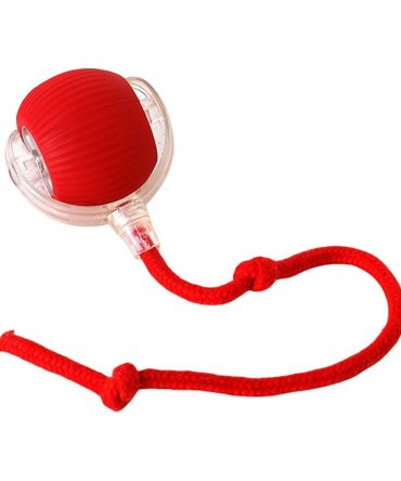 Indoor Large and Small Cat Dog Interactive Intelligent Rolling Pet Ball