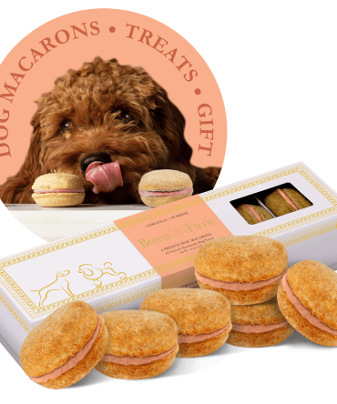 Dog Macarons - Count of 6 (Dog Treats | Dog Gifts)