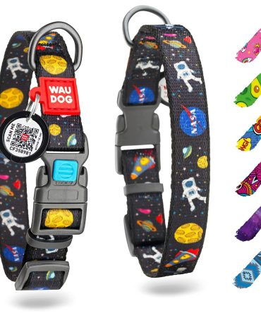 Nylon Dog Collar Adjustable 12-19 inch Neck x 1 inch Wide Dog Collar for Large Small Medium Dogs for Boy Girl Dog Collars with Durable Plastic Buckle