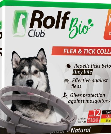 Natural Flea Tick Collar for Dogs 6 Months Control of Best Prevention Safe Treatment Anti Fleas and Ticks Essential Oil Repellent 1 Pack 2 Count