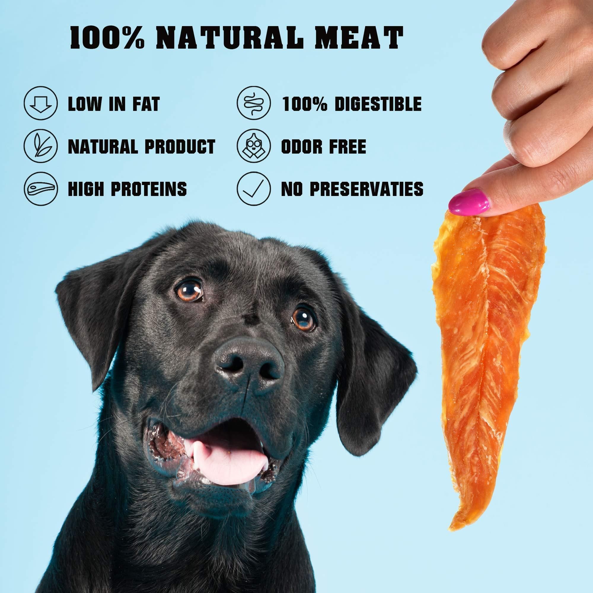 Chicken Jerky Dog Treats 1.5 Lb Human Grade Pet Snacks Grain Free Organic Meat All Natural High Protein Dried Strips Best Chews for Training Small & Large Dogs - Image 3
