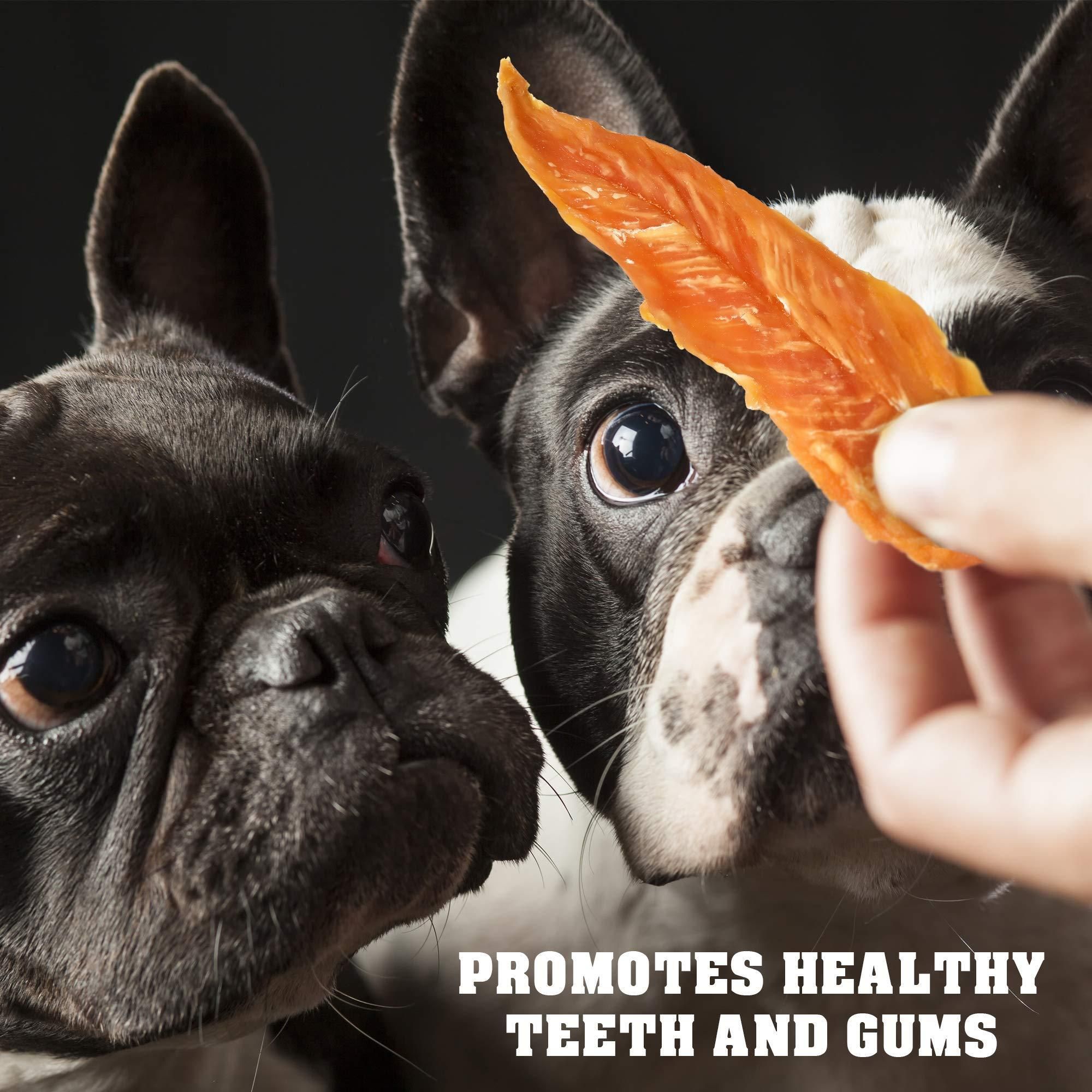 Chicken Jerky Dog Treats 1.5 Lb Human Grade Pet Snacks Grain Free Organic Meat All Natural High Protein Dried Strips Best Chews for Training Small & Large Dogs - Image 4