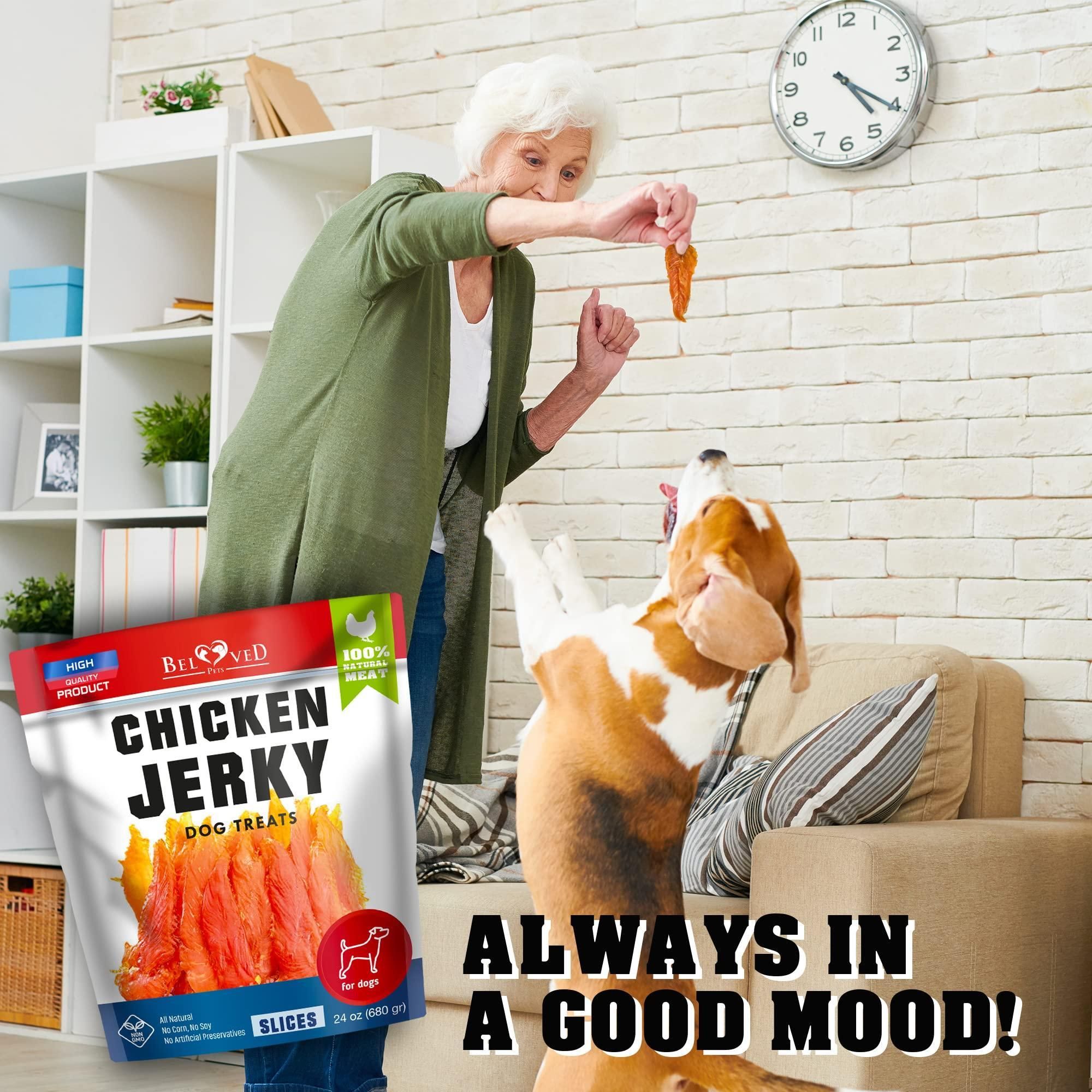 Chicken Jerky Dog Treats 1.5 Lb Human Grade Pet Snacks Grain Free Organic Meat All Natural High Protein Dried Strips Best Chews for Training Small & Large Dogs - Image 7