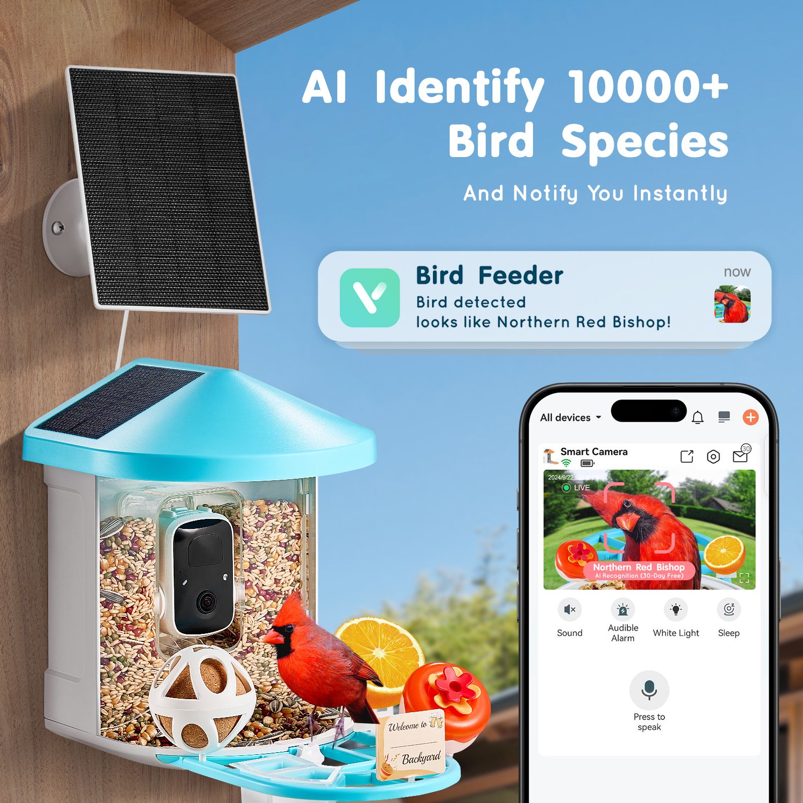 Smart Bird Feeder with Camera, 2K HD AI Identify 10000+ Bird Species, Solar-Powered Bird Watching Camera with Auto Capture & Instant Notify, Wireless Outdoor Gift for Bird Lover (3 Solar Panels) - Image 2