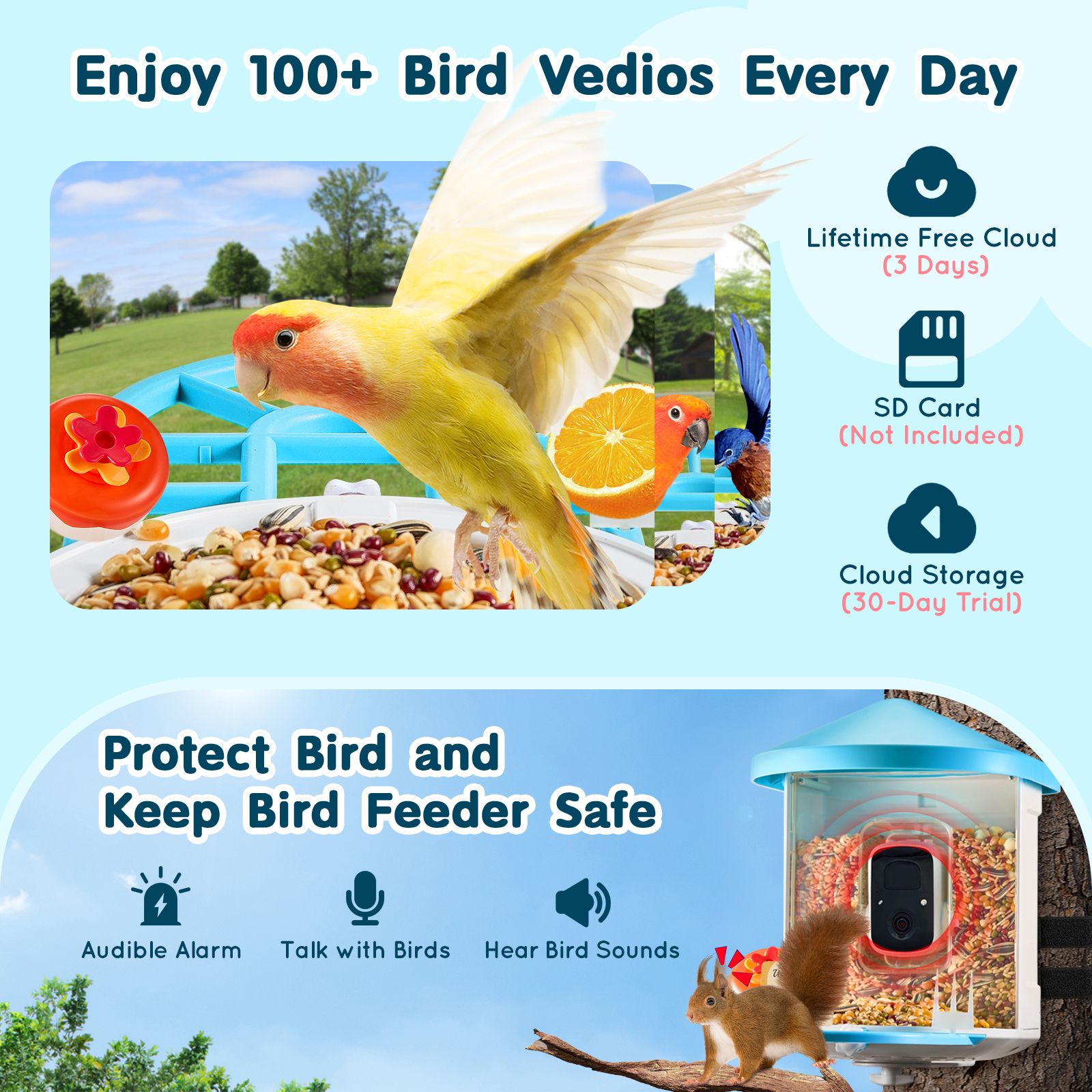 Smart Bird Feeder with Camera, 2K HD AI Identify 10000+ Bird Species, Solar-Powered Bird Watching Camera with Auto Capture & Instant Notify, Wireless Outdoor Gift for Bird Lover (3 Solar Panels) - Image 3