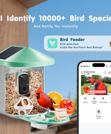 Smart Bird Feeder with Camera, 2K HD AI Identify 10000+ Bird Species, Solar-Powered Bird Watching Camera with Auto Capture & Instant Notify, Wireless Outdoor Gift for Bird Lover (2 Solar Panels)