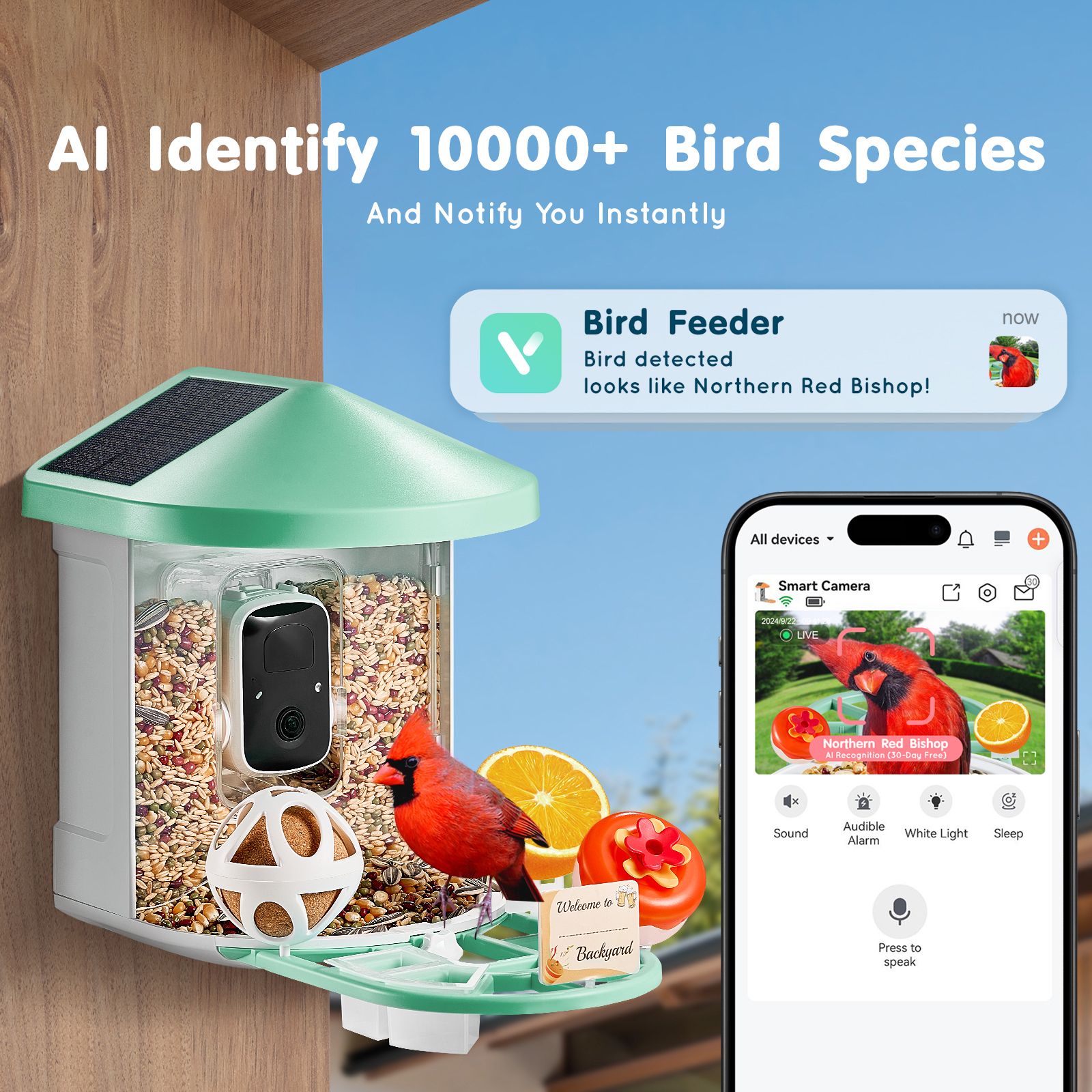 Smart Bird Feeder with Camera, 2K HD AI Identify 10000+ Bird Species, Solar-Powered Bird Watching Camera with Auto Capture & Instant Notify, Wireless Outdoor Gift for Bird Lover (2 Solar Panels) - Image 2