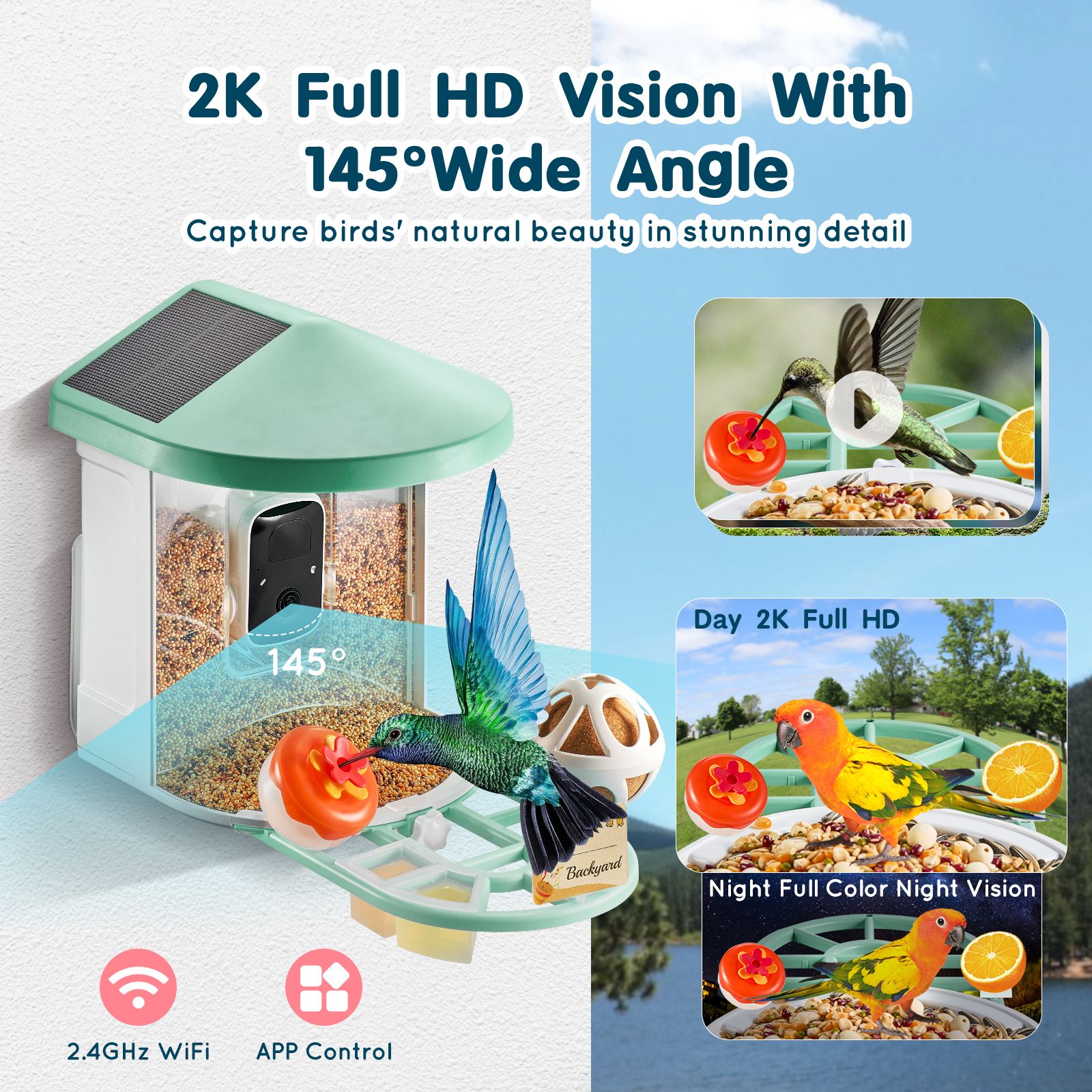Smart Bird Feeder with Camera, 2K HD AI Identify 10000+ Bird Species, Solar-Powered Bird Watching Camera with Auto Capture & Instant Notify, Wireless Outdoor Gift for Bird Lover (2 Solar Panels) - Image 4